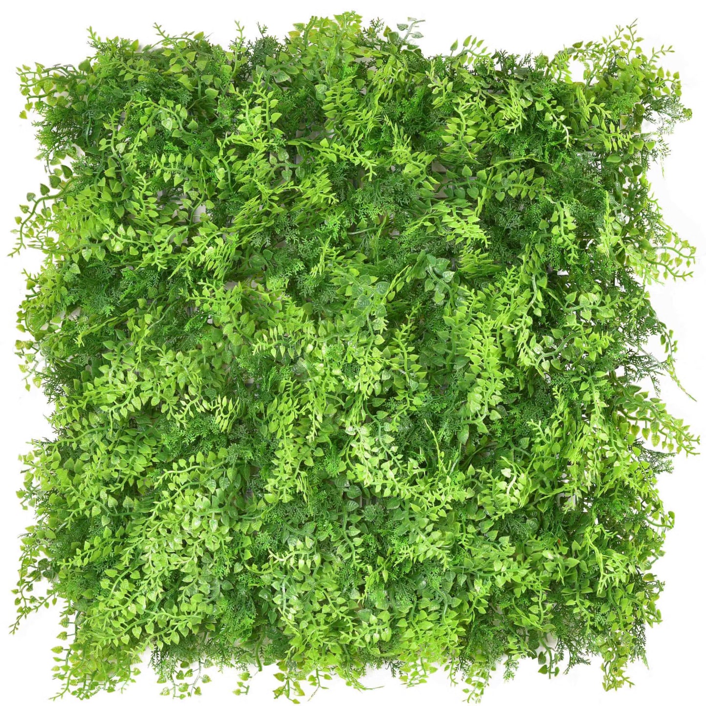 Conifer | 50x50cm Artificial Living Wall Tiles
