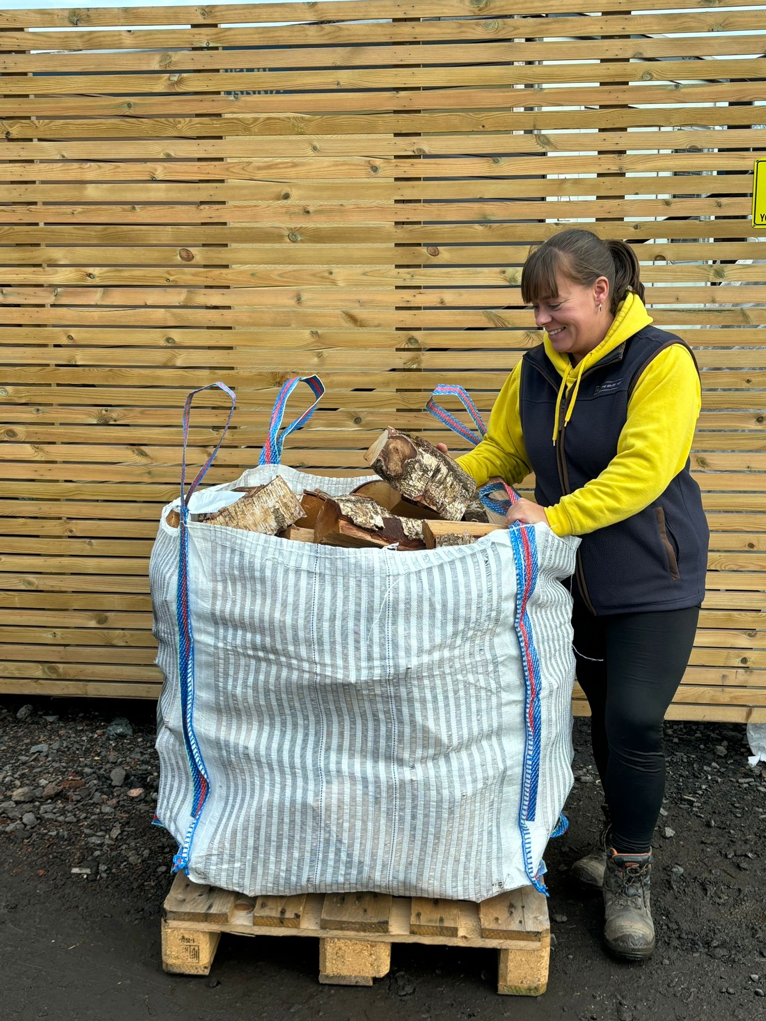 Buy Kiln Dried Birch Firewood Bulk Bags Online The Grass Yard