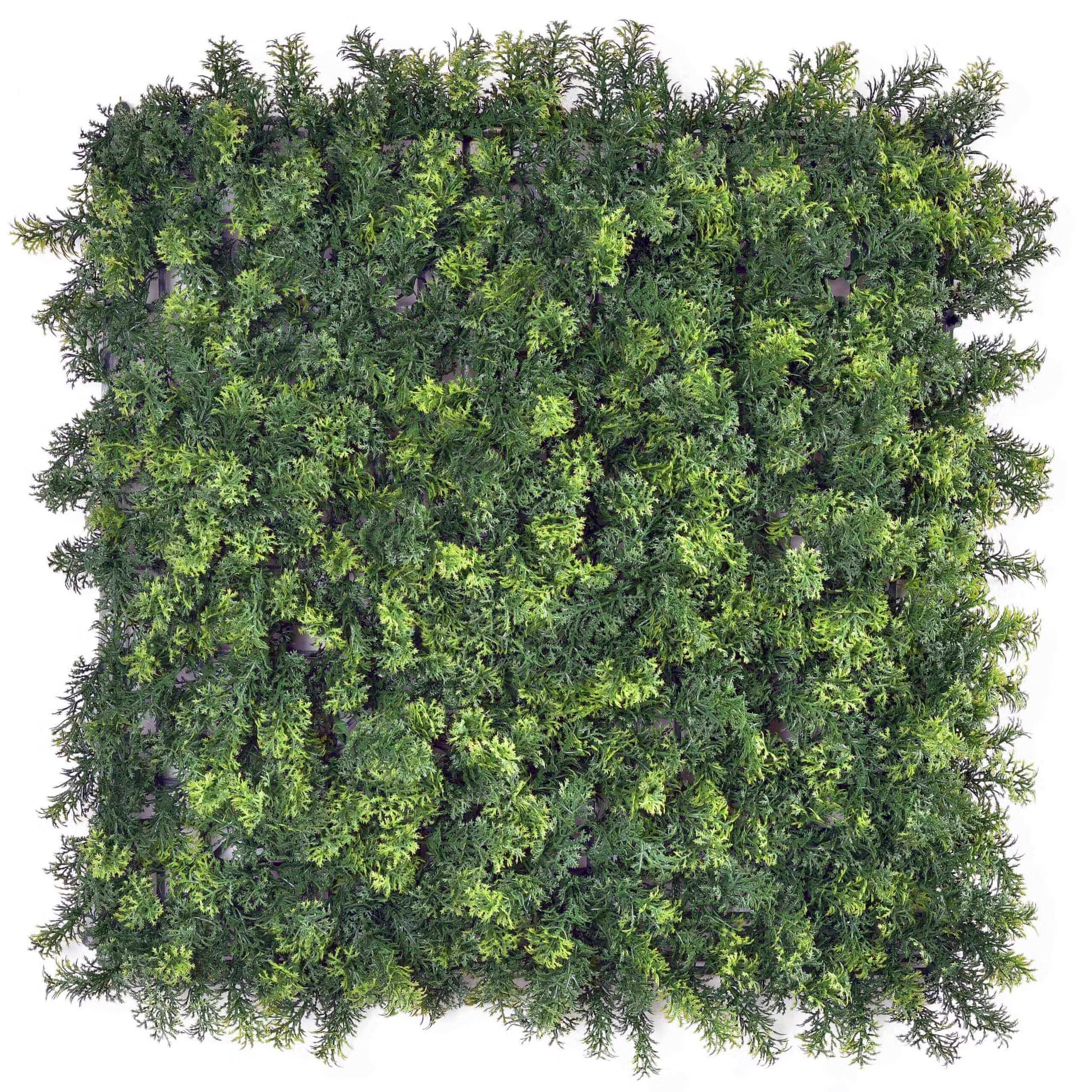 Forest Moss 50x50cm artificial green wall panels close-up foliage detail