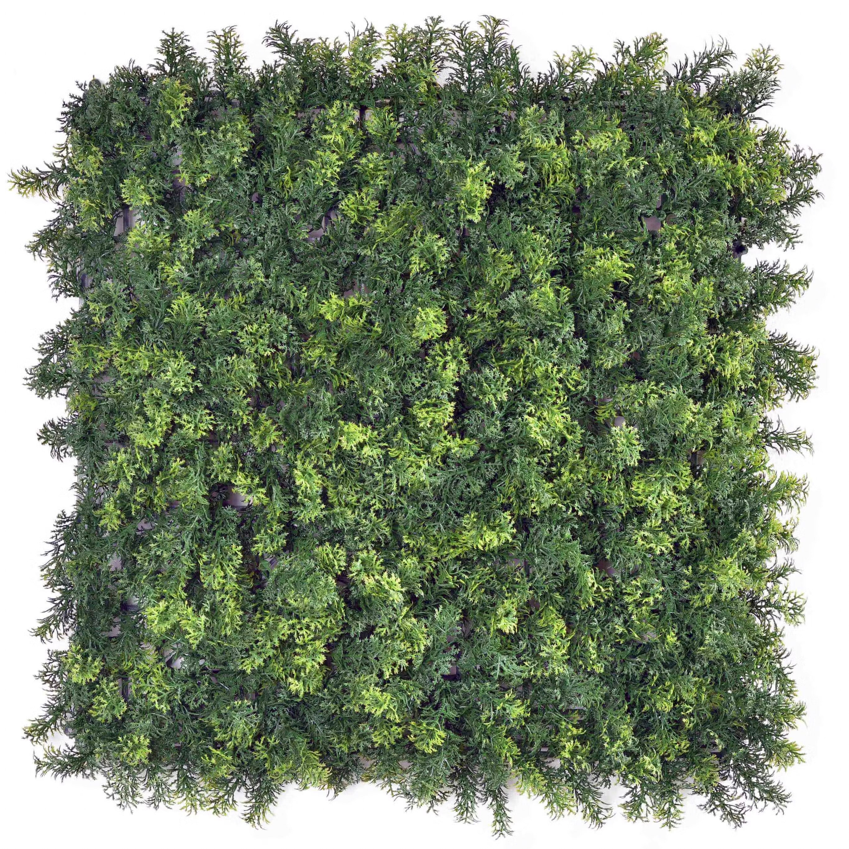 Forest Moss | 50x50cm Artificial Living Wall Tiles