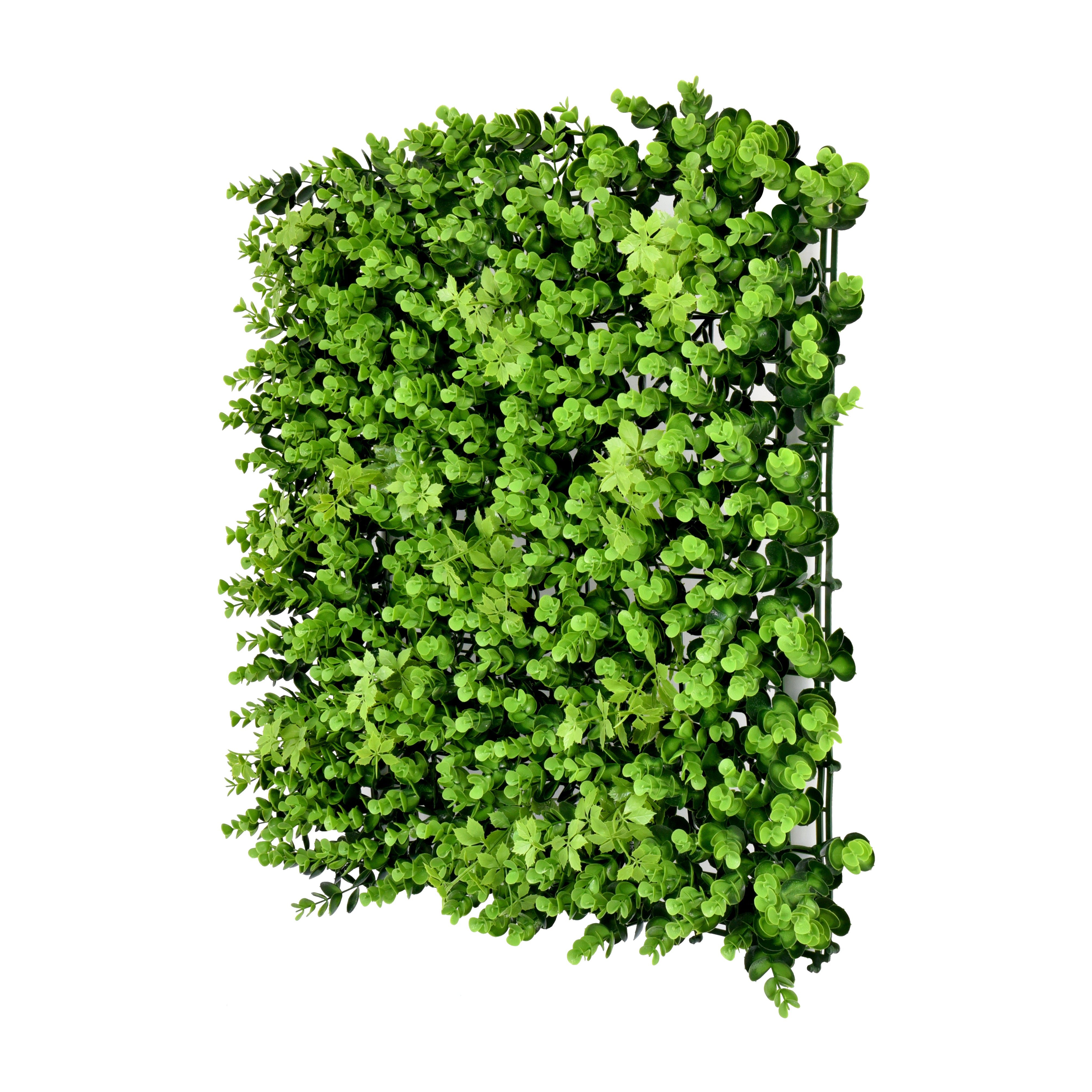 Eucalyptus | 50x50cm Artificial Living Wall Tiles