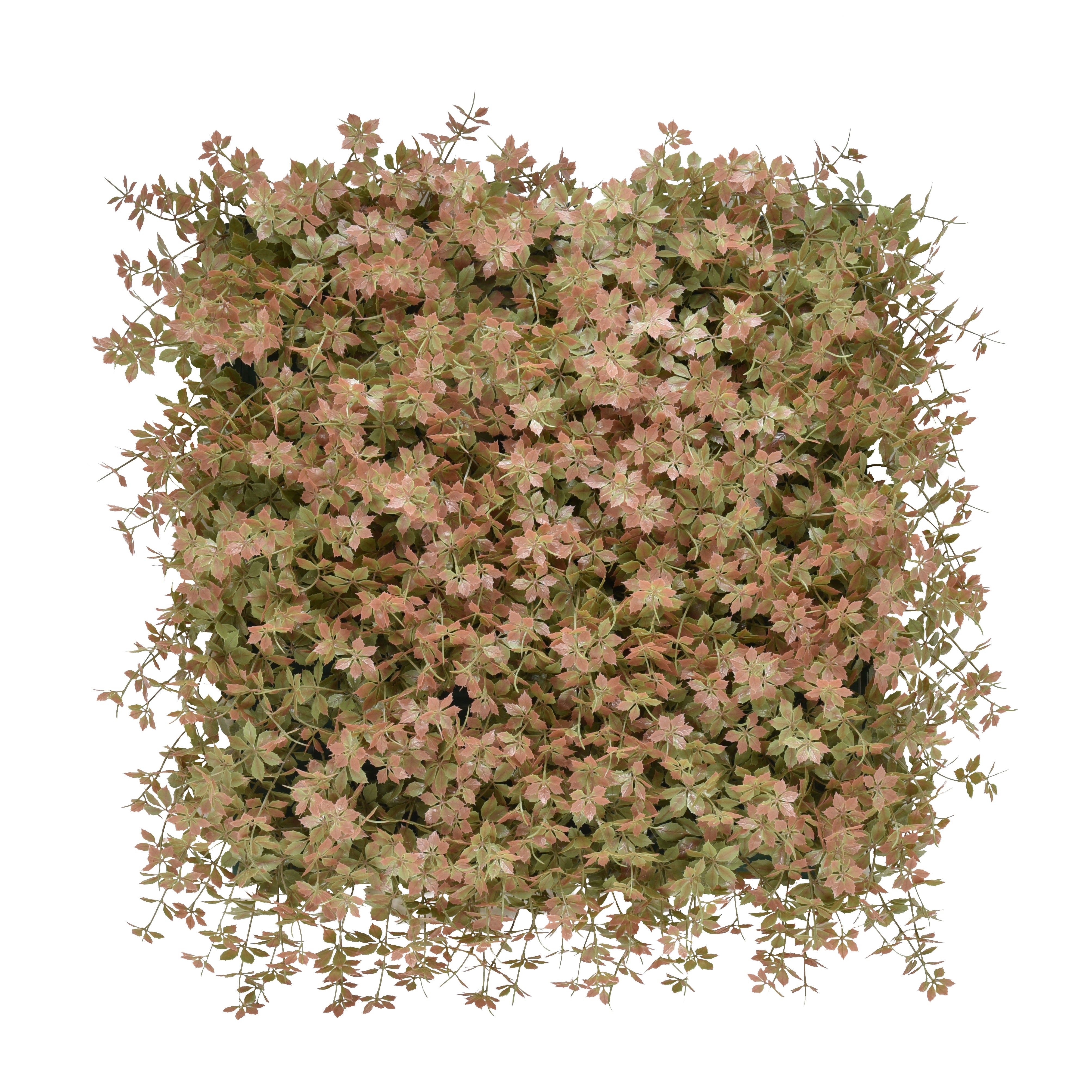 Peachy Keen | 50x50cm Artificial Living Wall Tiles