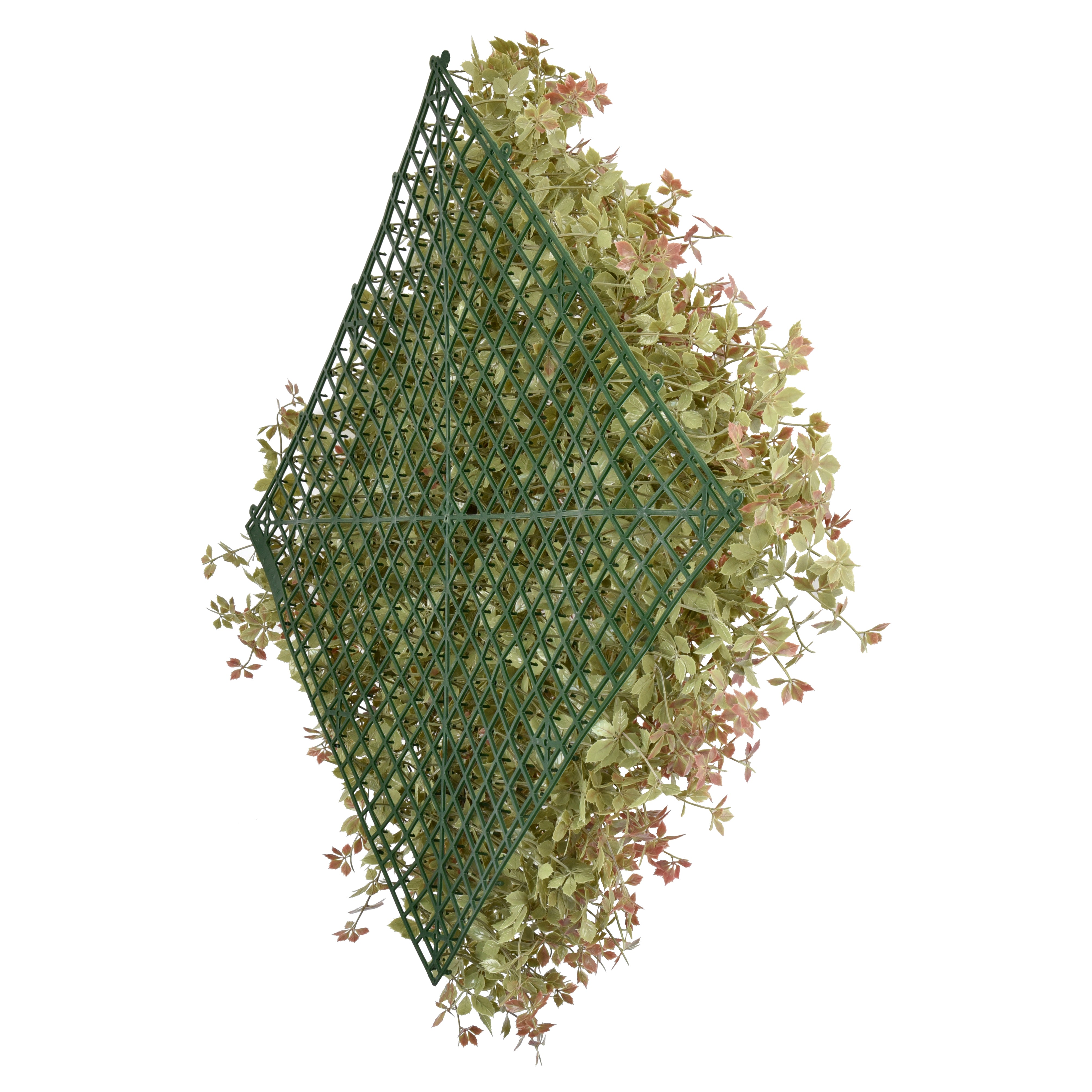 Peachy Keen | 50x50cm Artificial Living Wall Tiles