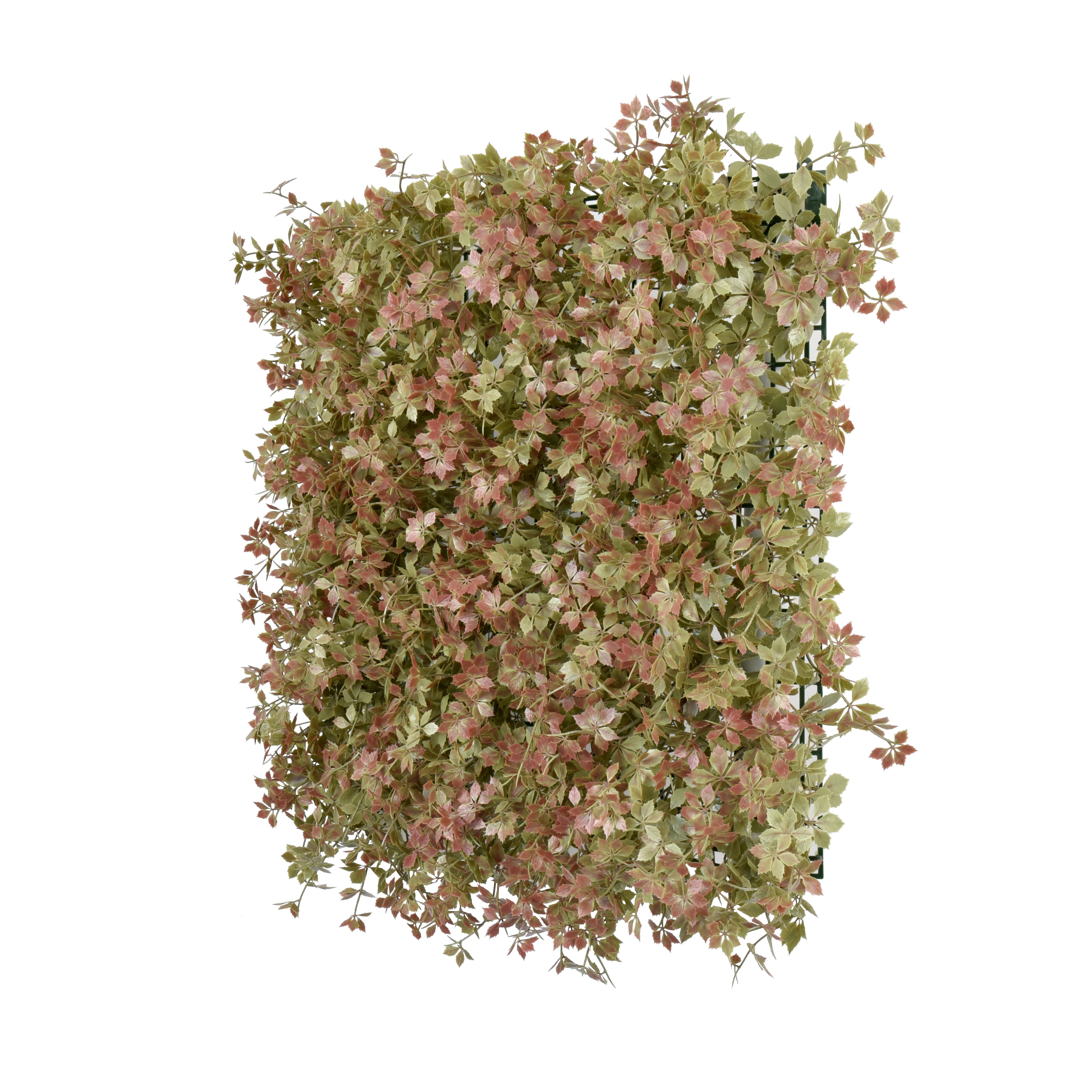 Peachy Keen | 50x50cm Artificial Living Wall Tiles