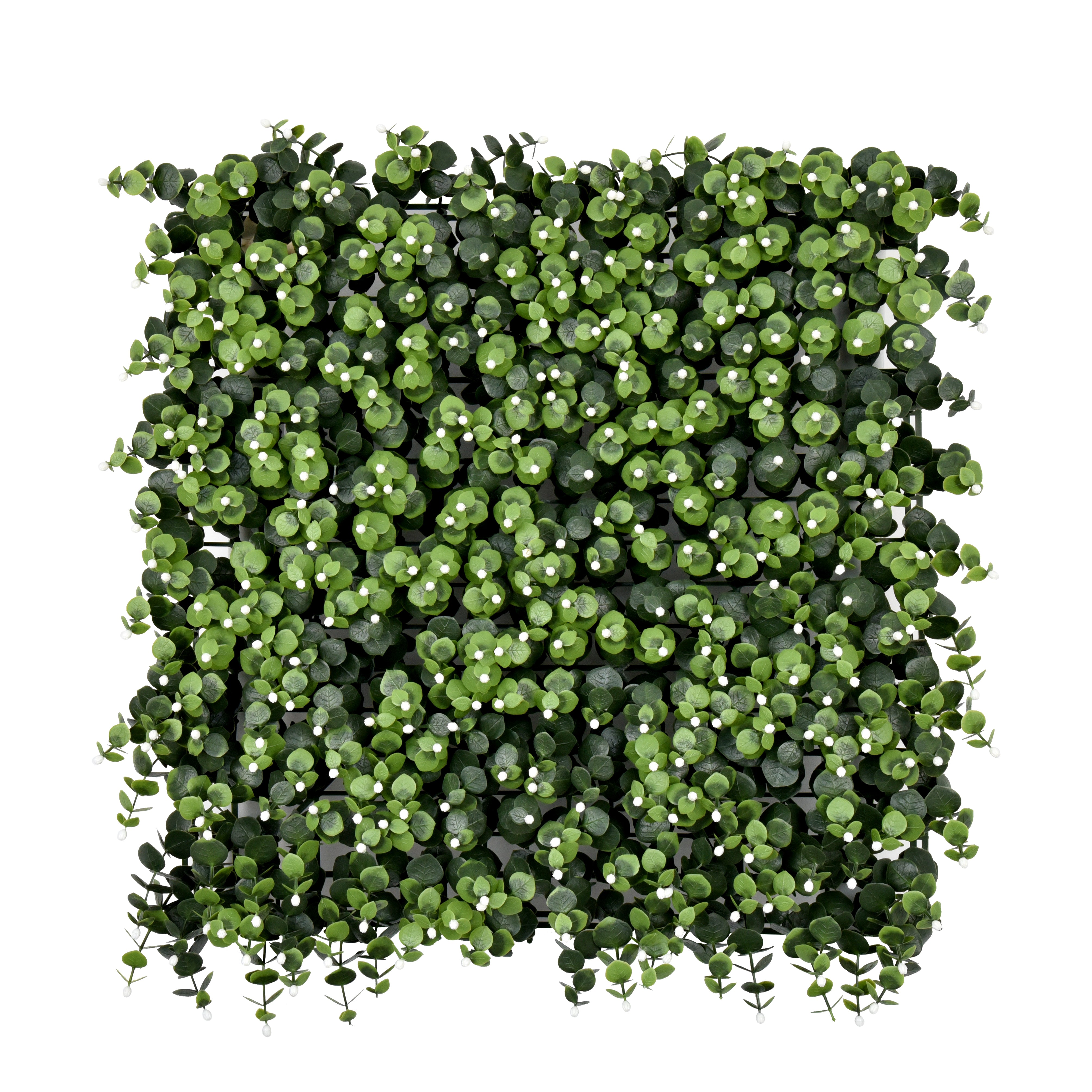 Eucalyptus Berry | 50x50cm Artificial Living Wall Tiles