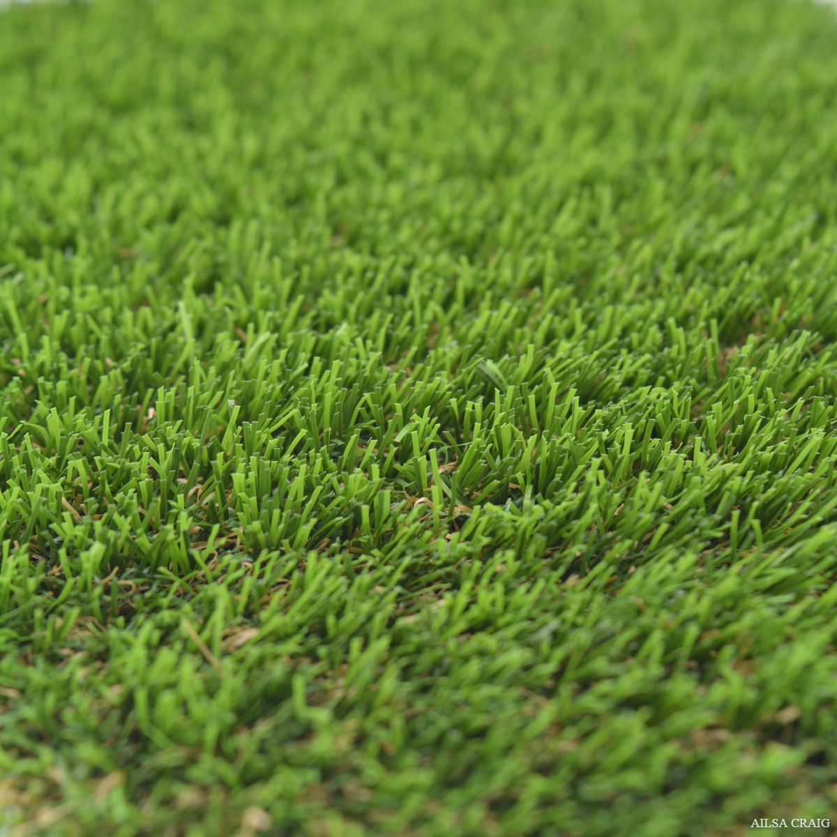Close-up of Ailsa Craig artificial lawn