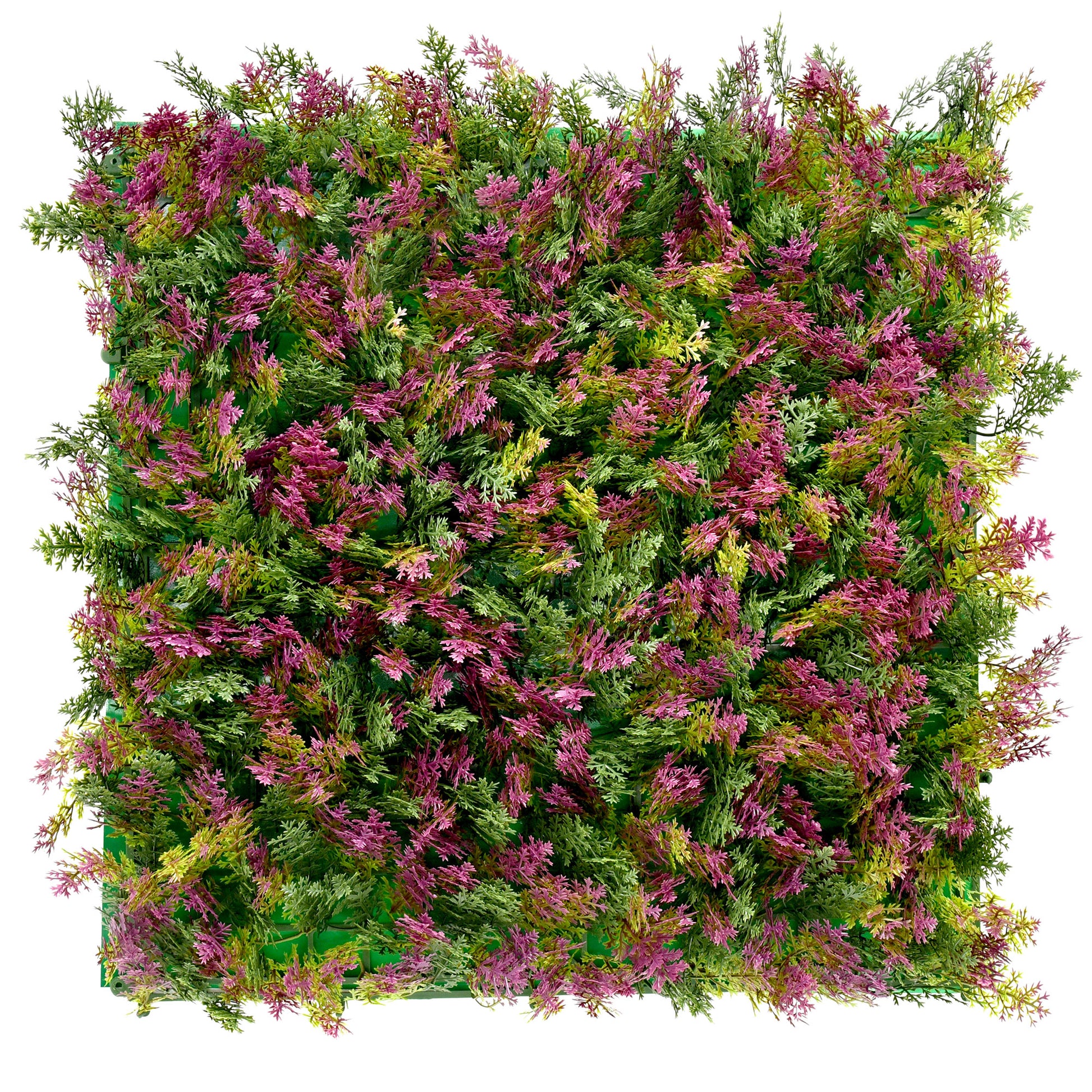 UV resistant artificial green wall panels Cypress Blush foliage texture