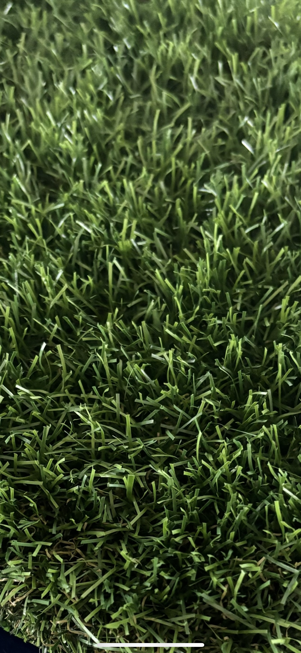 Close-up of Coll 30 artificial green grass turf showing texture and detail.