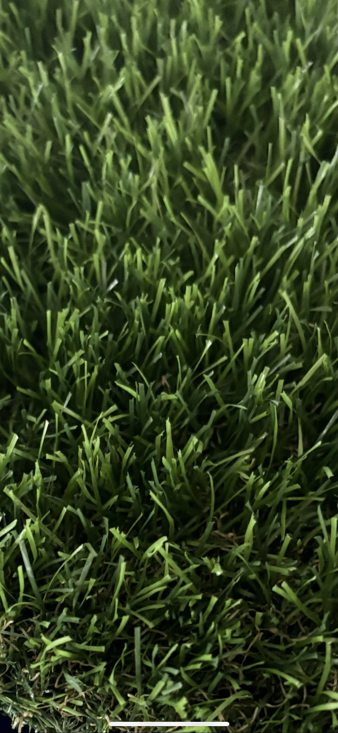 Close-up view of Coll 40mm synthetic artificial turf showing texture and color