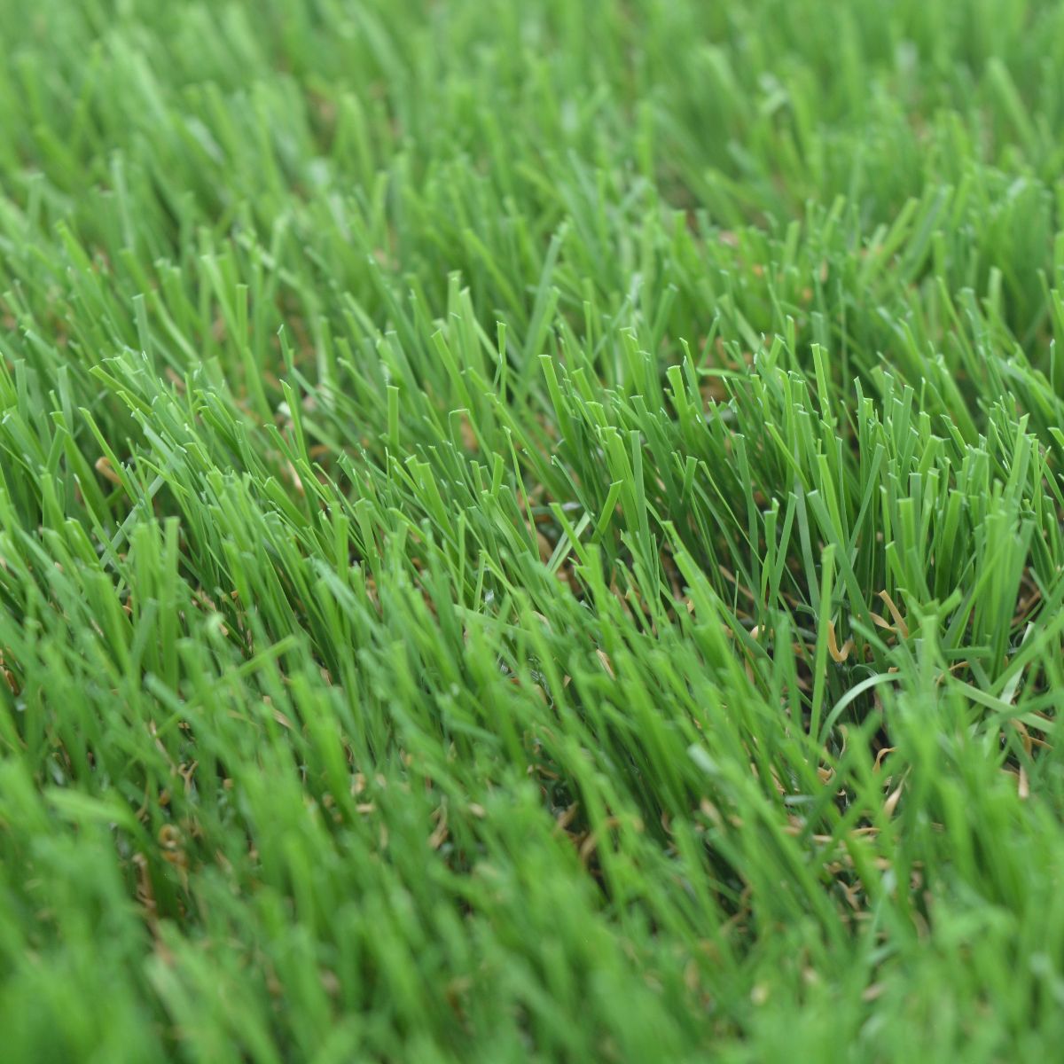 Close-up of green and brown artificial grass blades