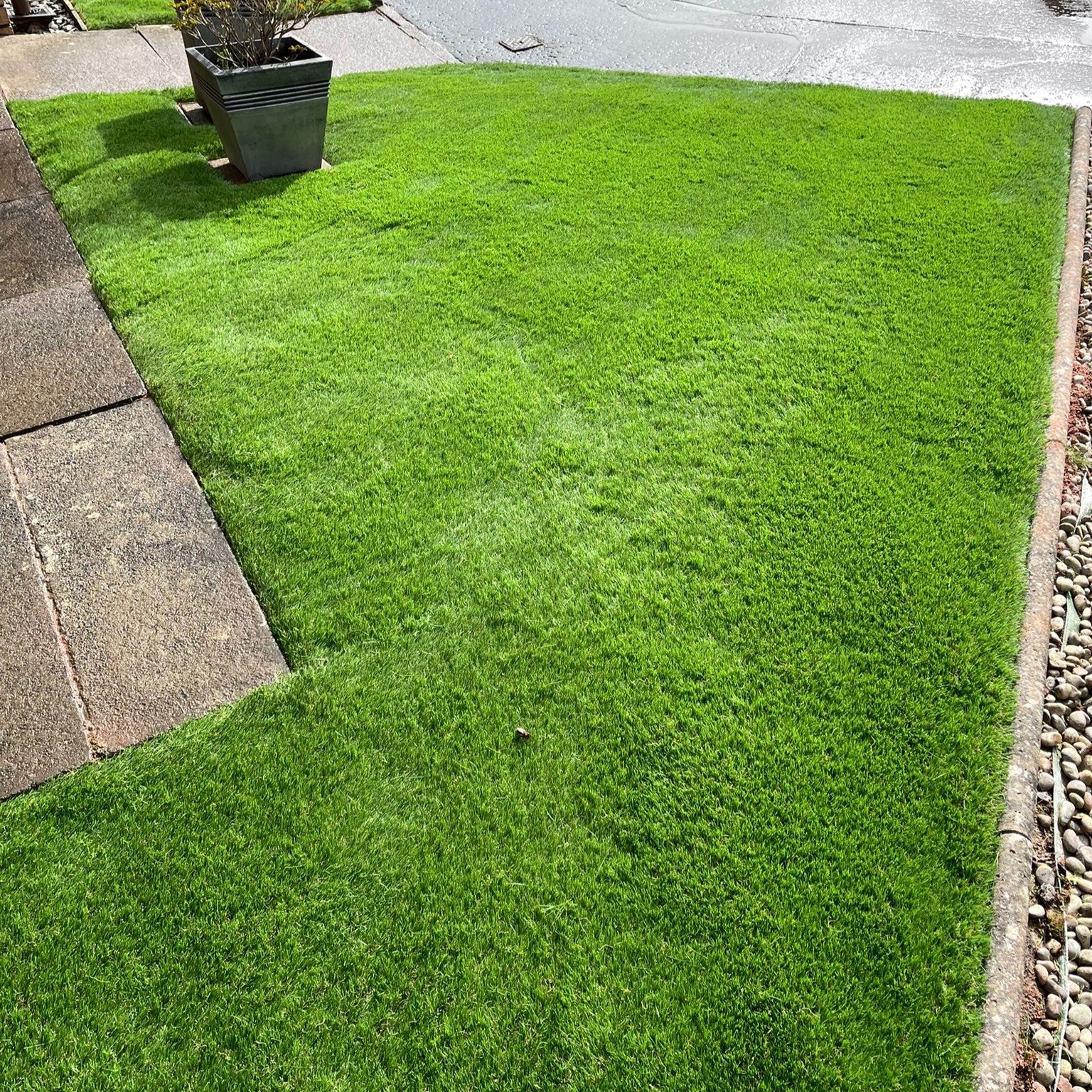 Green artificial lawn with a potted plant on a stone path.