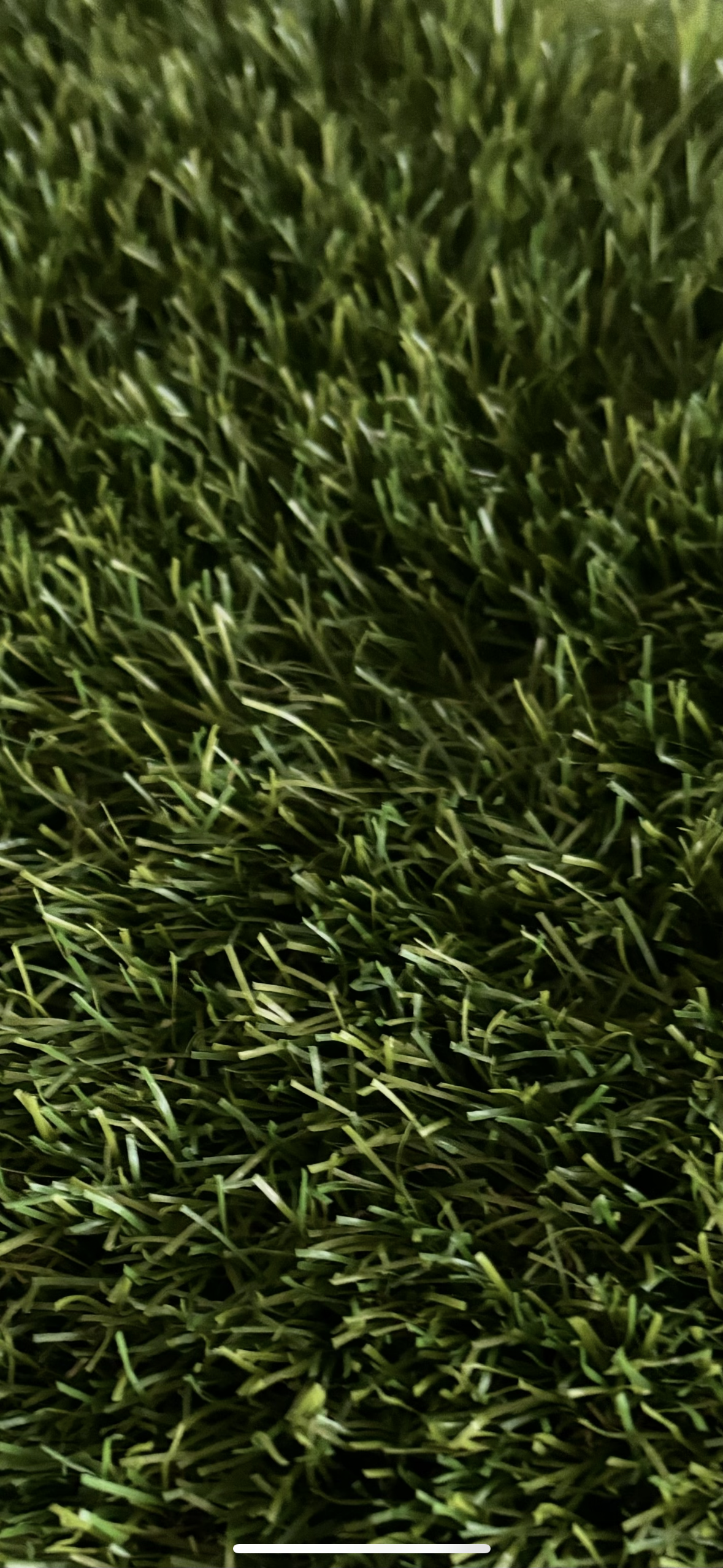 Close-up of Durness artificial grass