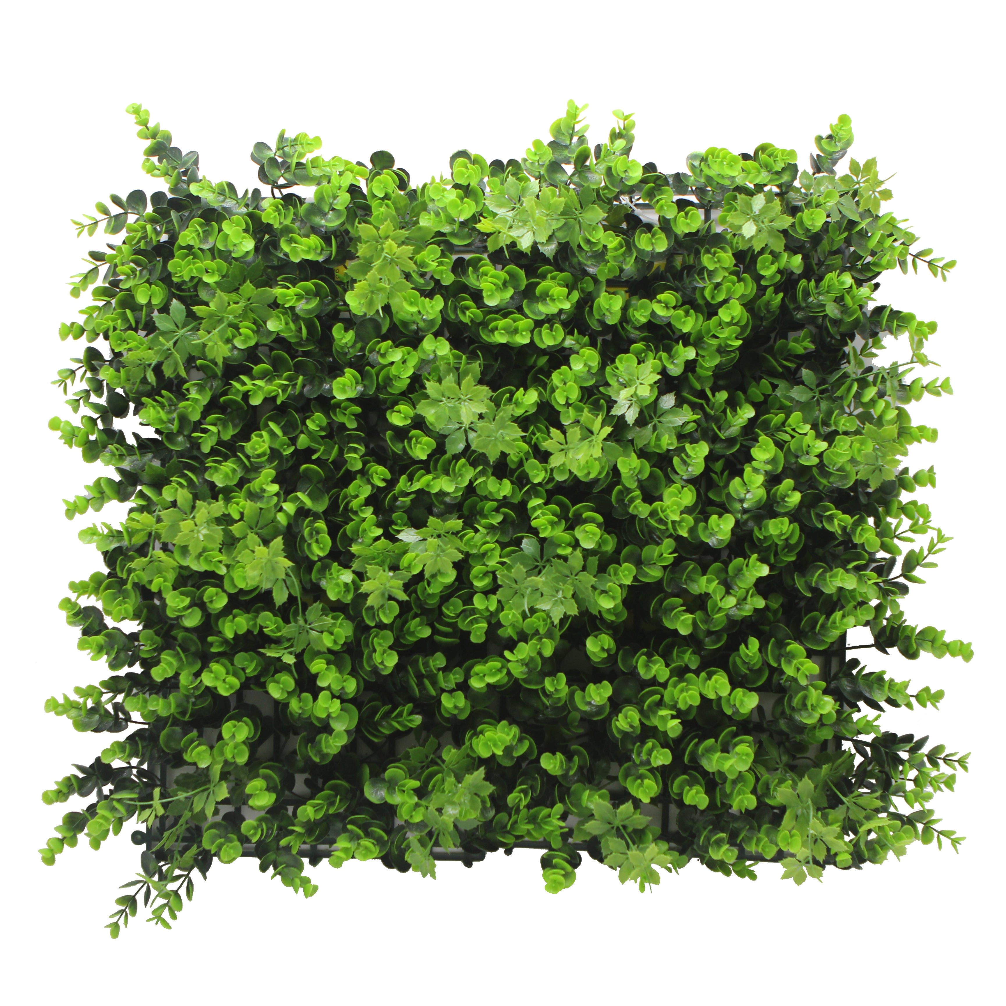 UV resistant artificial green wall panels Eucalyptus foliage detail