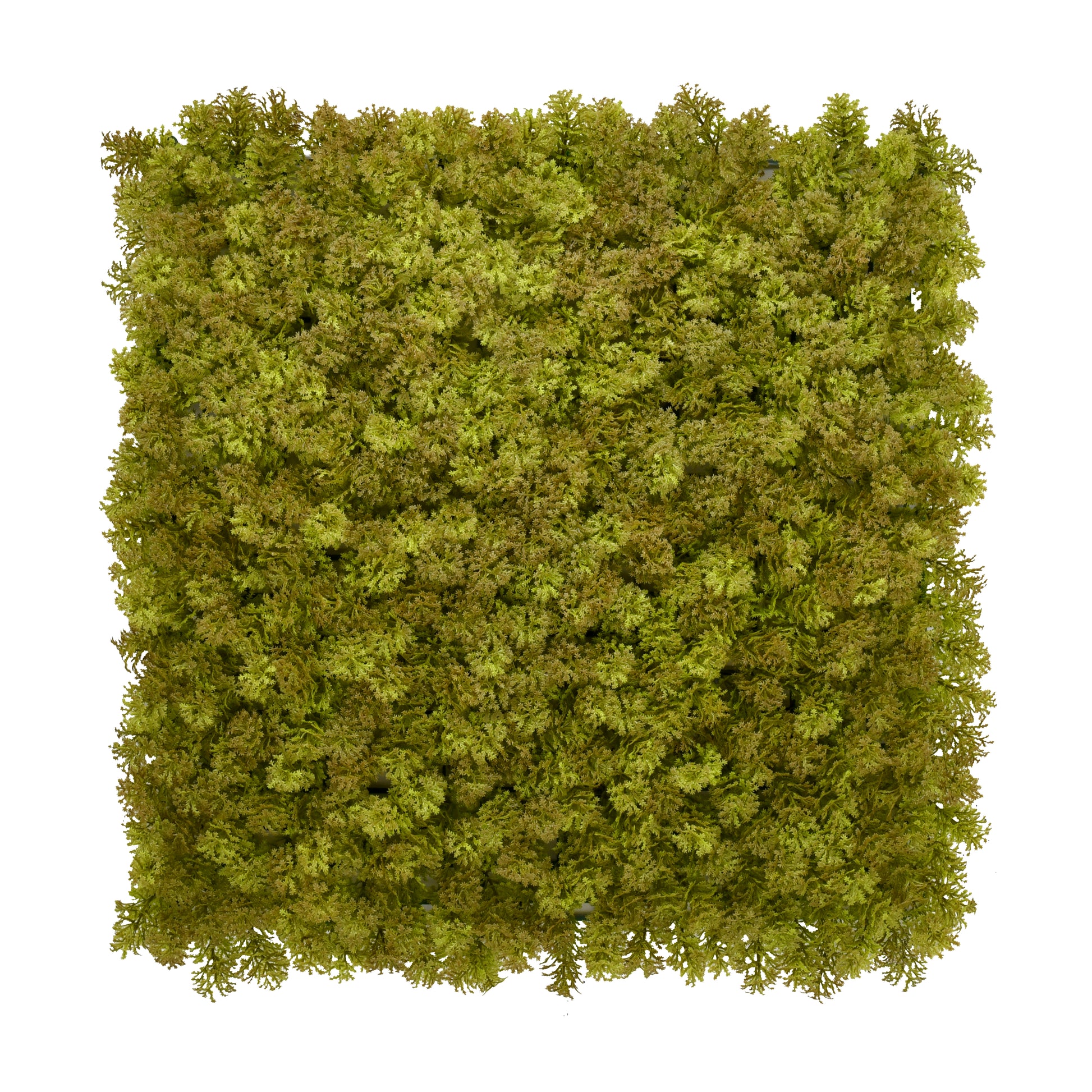 Faux living wall tiles Olive Moss 50x50cm indoor feature wall