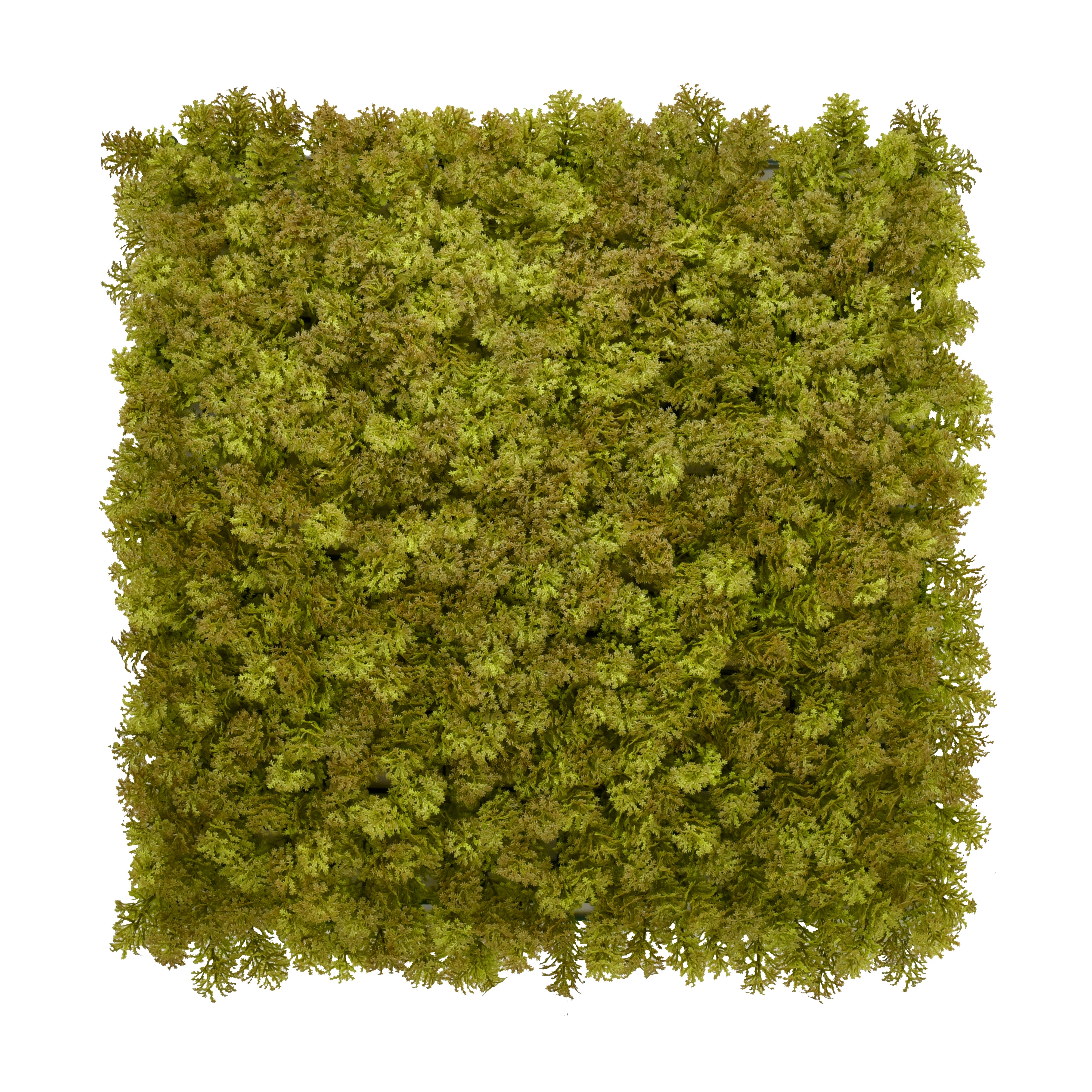 Faux living wall tiles Olive Moss 50x50cm indoor feature wall