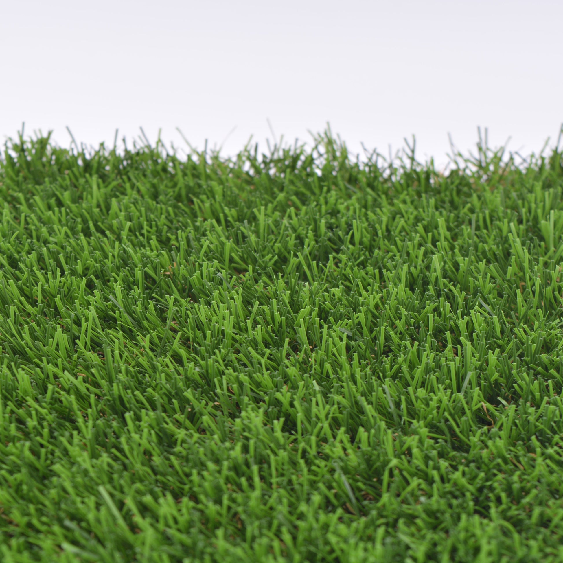 Artificial grass close up of the blades with a white background