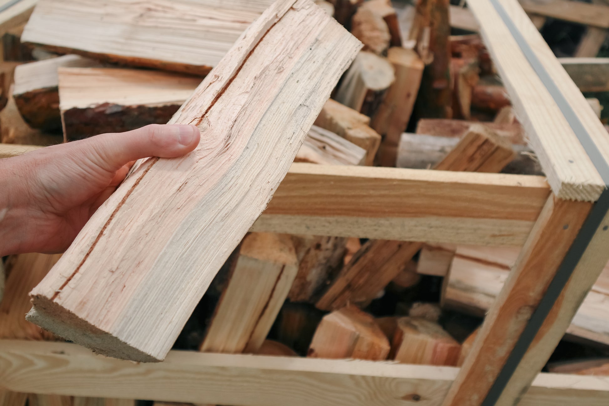 A firewood log split down the middle showing the wood grain.