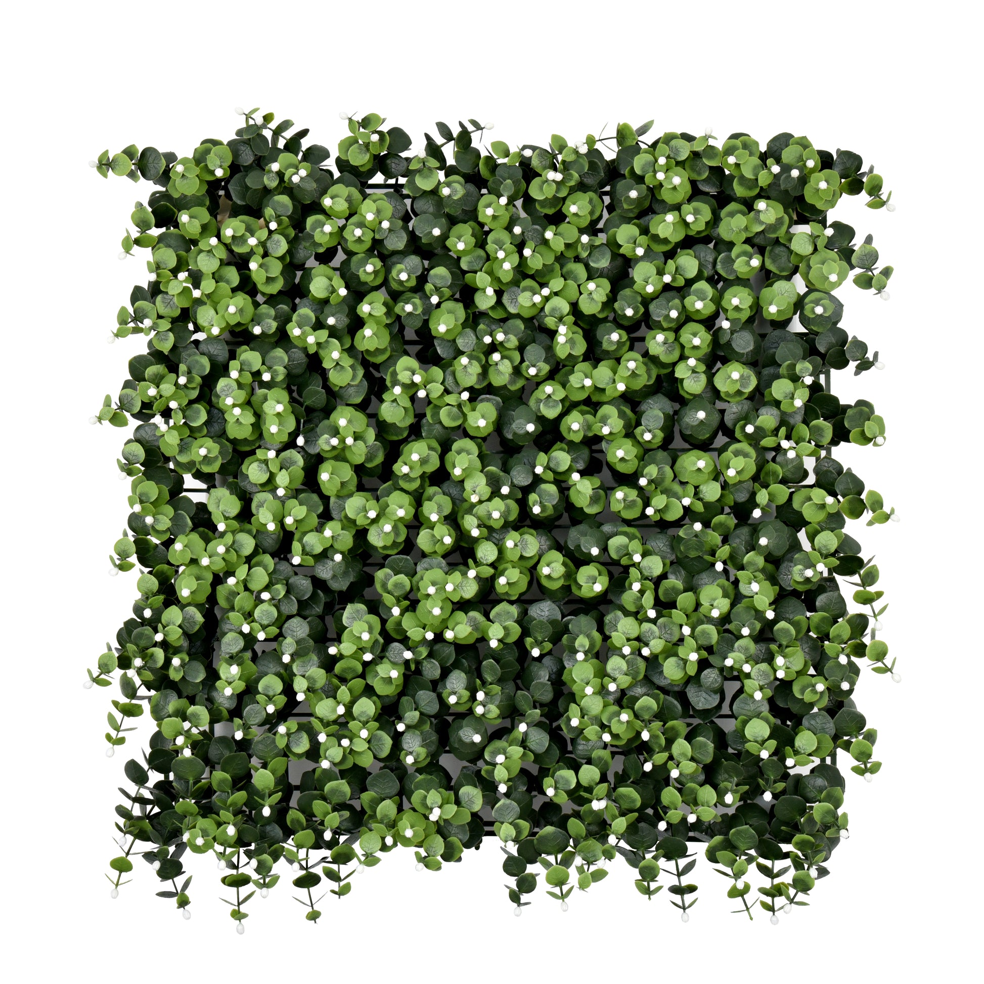 Eucalyptus Berry 50x50cm artificial green wall panels close-up foliage