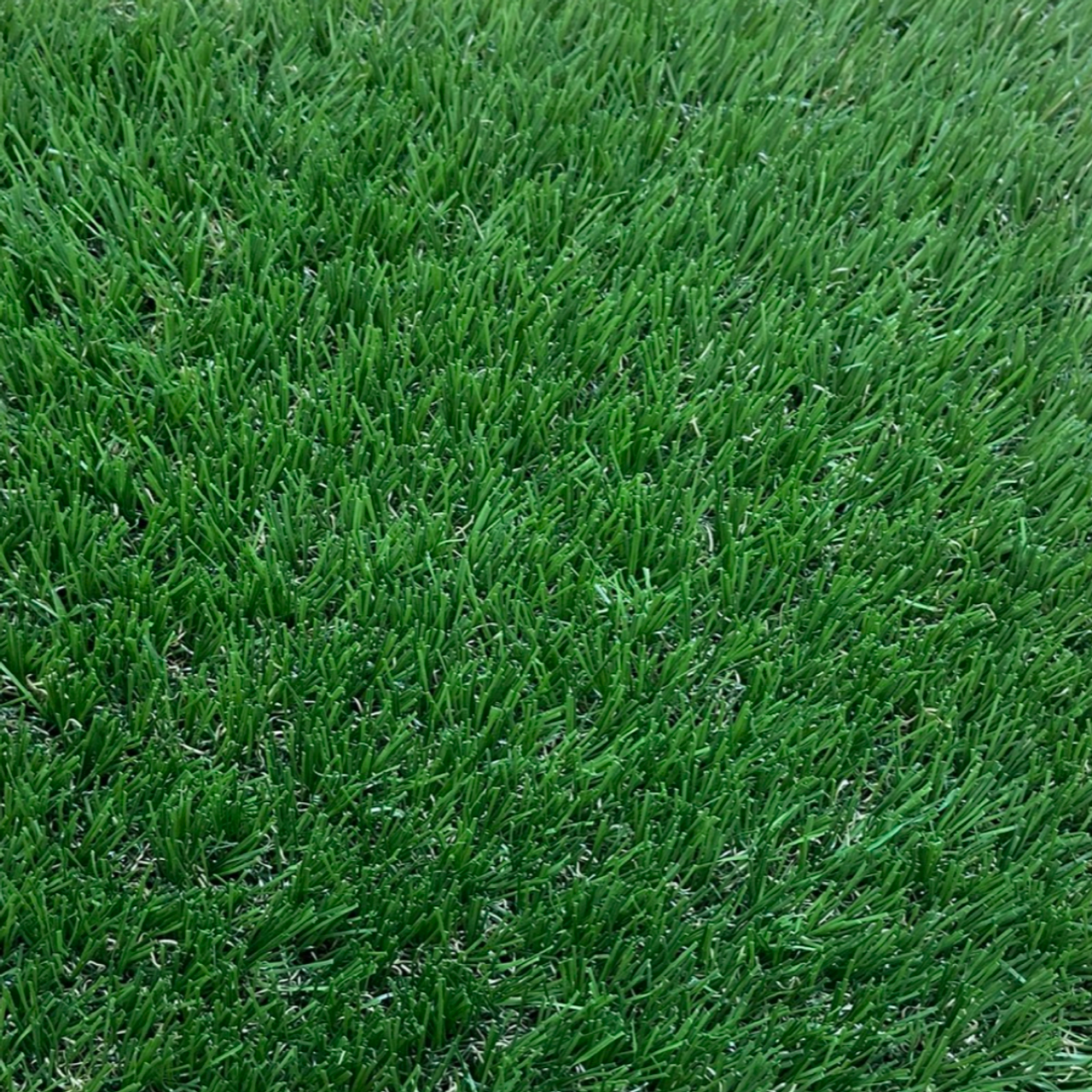 Scalloway PU Dog Grass 35mm